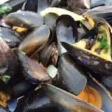 smaltimento gusci cozze