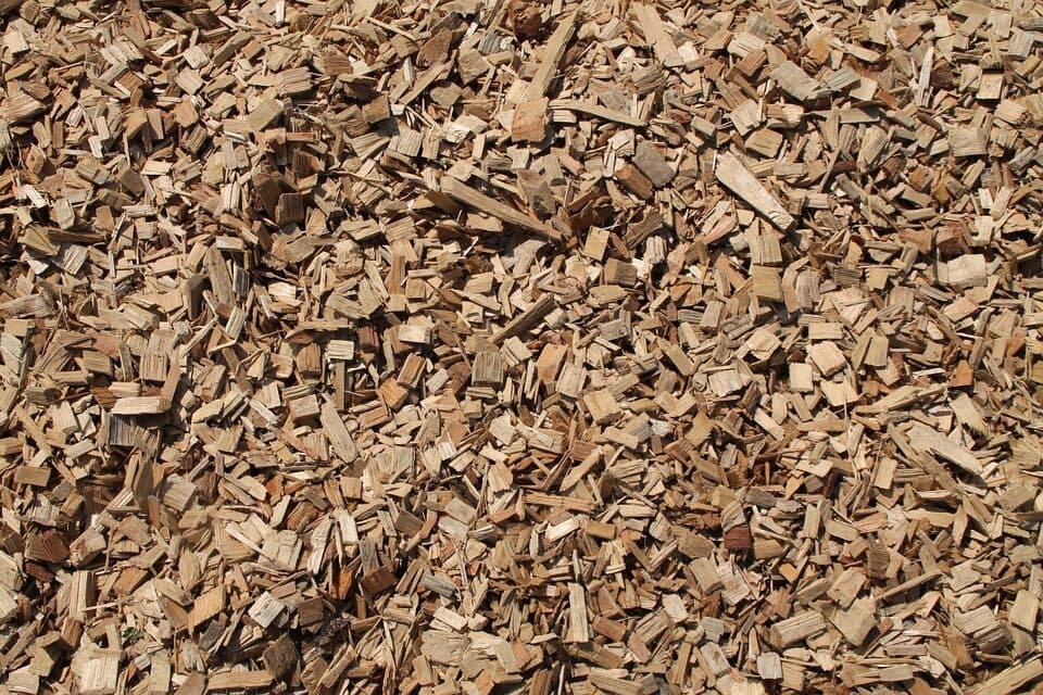 cippato di olivo