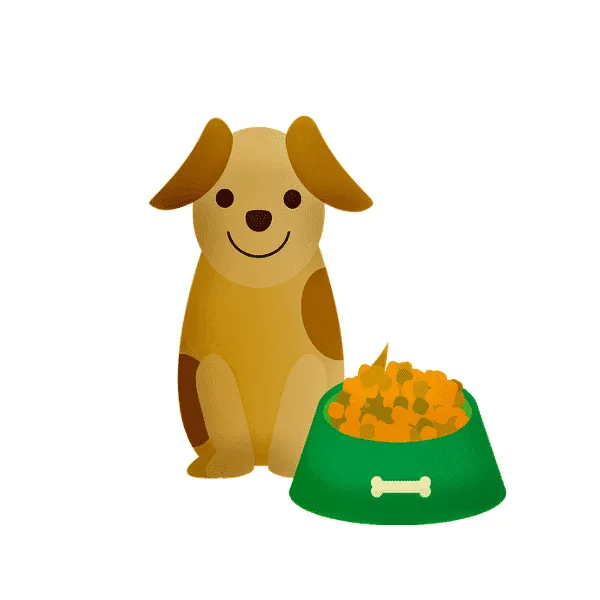 Contenitori Cibo Per Cani