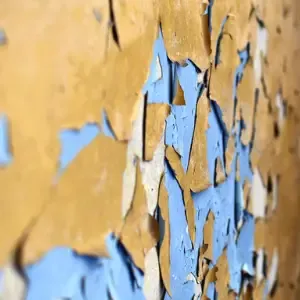 Smaltimento Dell'Intonaco San Pietro