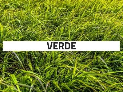 costo-smaltimento-verde-1